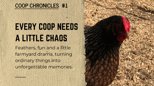 HANNAH - Queen Of The Breakfast Heist