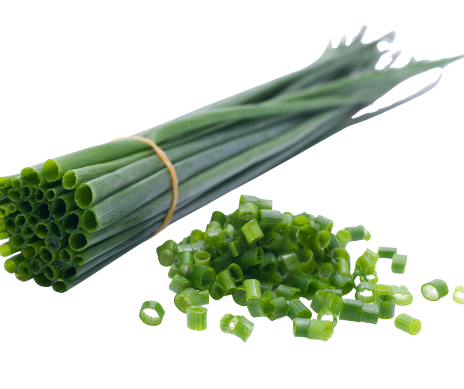 Chives Large Seeds