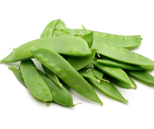 Snow Pea Yakumo Giant