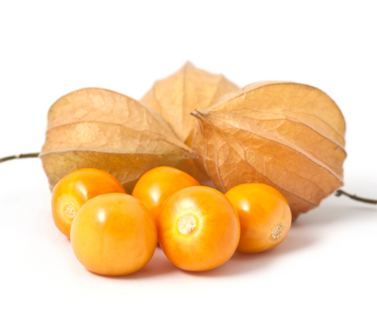 Cape Gooseberry Golden Nugget Seeds