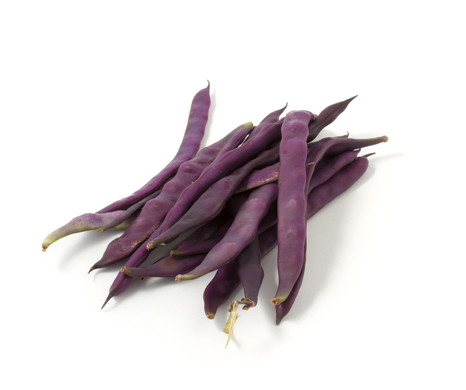 COBBII CREEK FARM | PURPLE BEANS