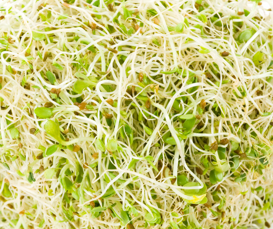 COBBII CREEK FARM | ALFALFA