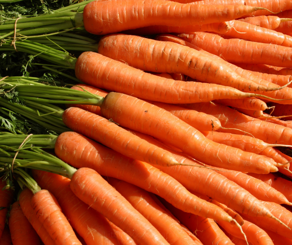 COBBII CREEK FARM | CARROT ALL SEASONS