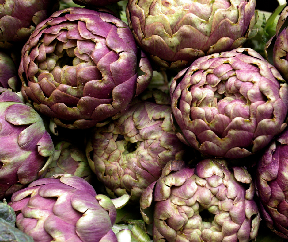 COBBII CREEK FARM | PURPLE ARTICHOKE