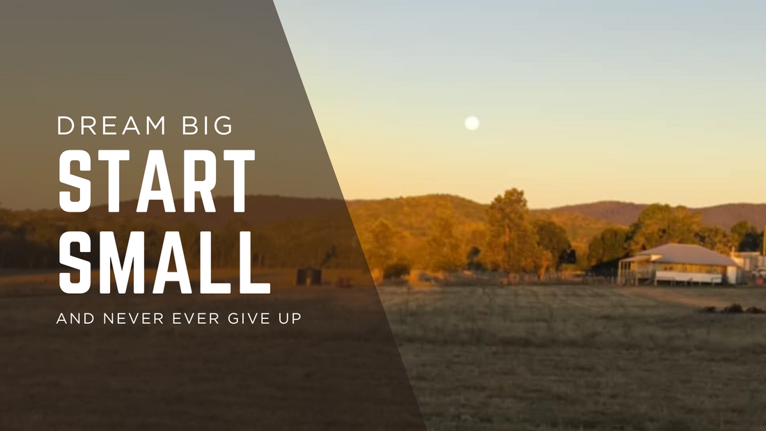 COBBII CREEK FARM | DIGGING INTO A NEW ADVENTURE