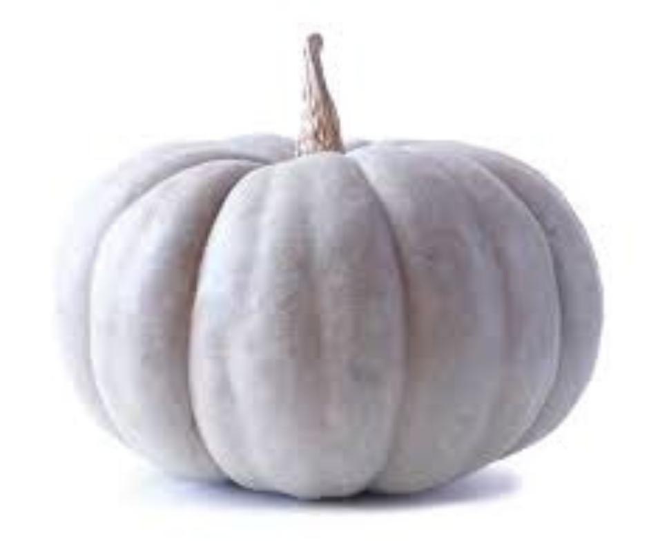 Queensland QLD Blue Seeds