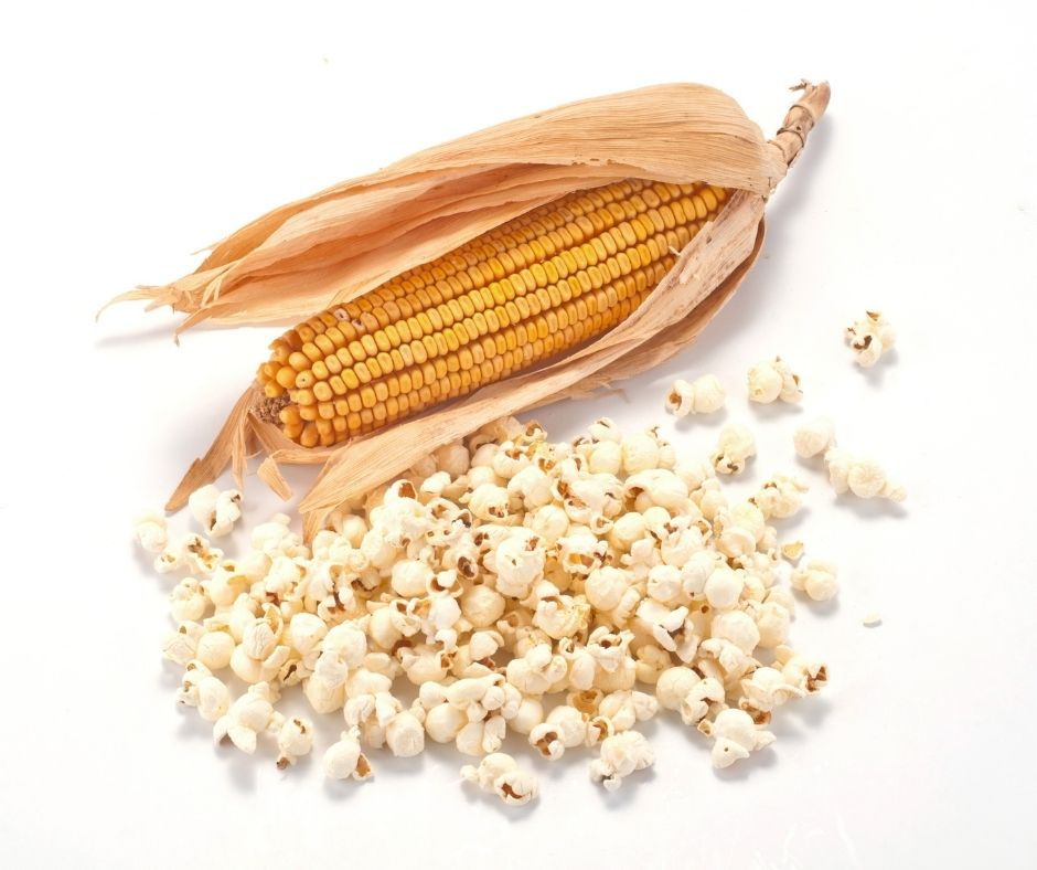 Corn Popping - Food Grade Seeds