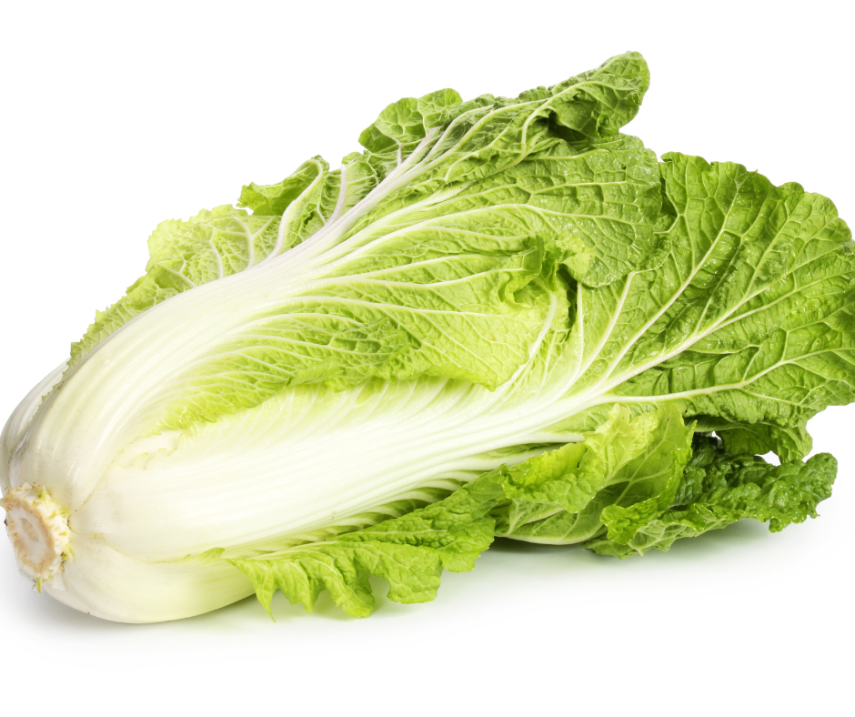 Cabbage Wombok Michihili Seeds