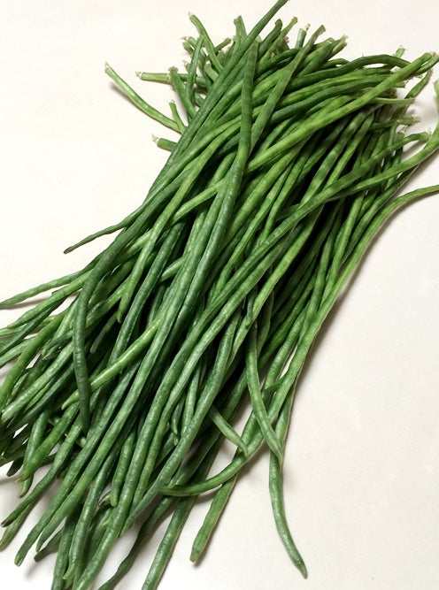 BEAN Snake Red Dragon Seeds