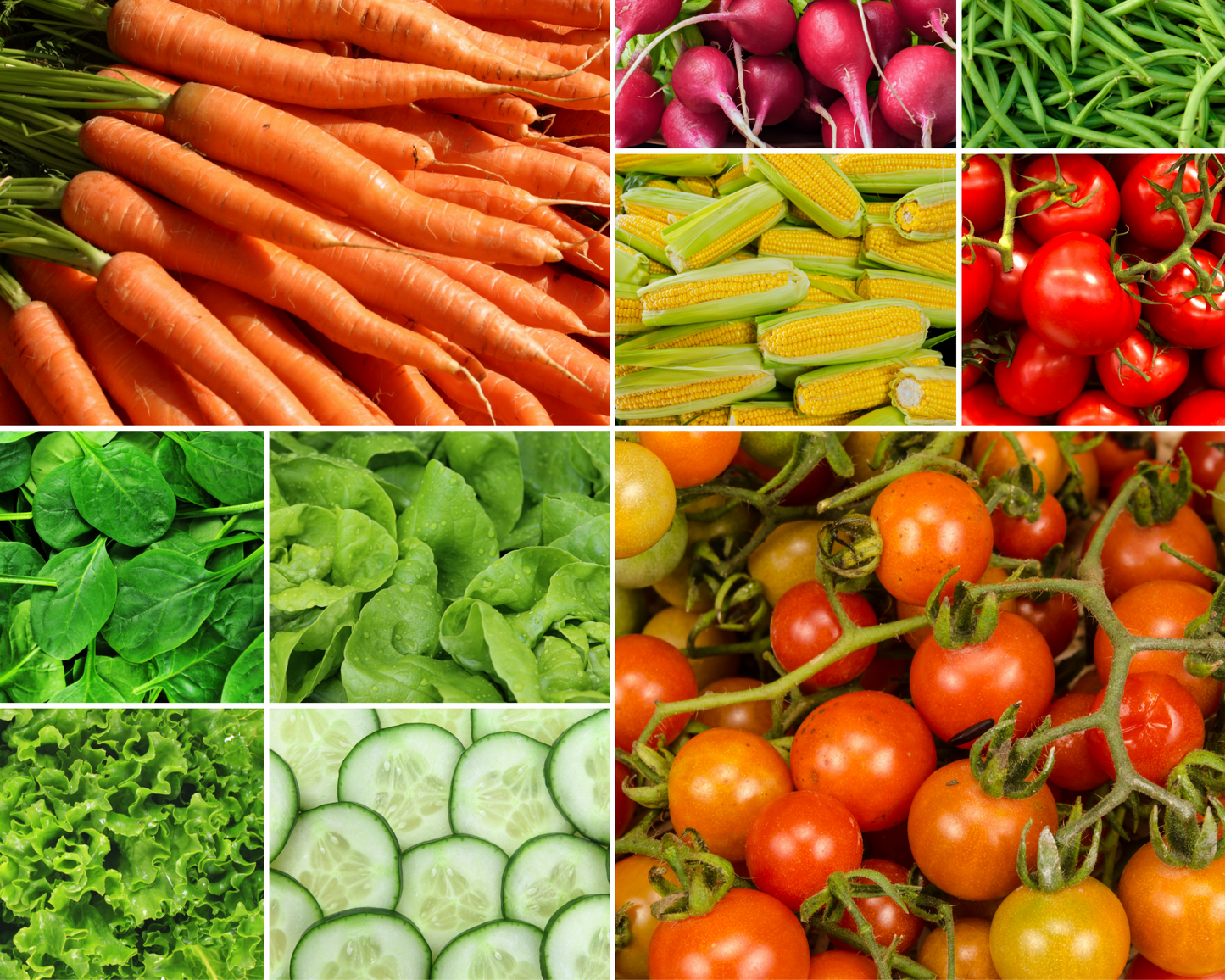 Collage of various vegetables including carrots, radishes, corn, tomatoes, and lettuce with Cobbii Creek Farm branding.